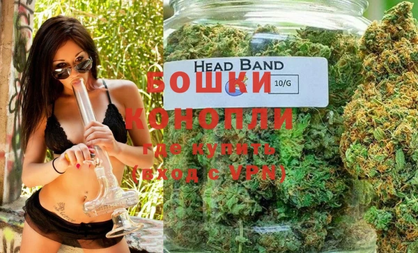 гидра Абаза