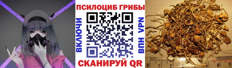 Псилоцибиновые грибы мицелий  купить наркотики сайты  Электроугли 
